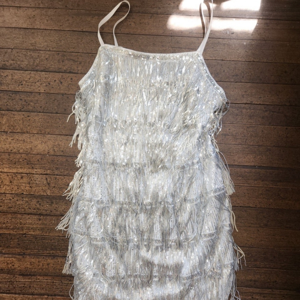 Flapper Gatsby 20s Style Silver Sequined Dress